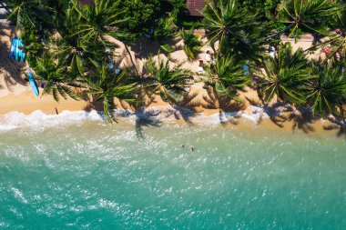 Turkuaz su dalgaları ve yeşil tropikal palmiyelerle dolu pitoresk kıyı şeridi manzarası. Hawaii 'nin cennet sahili kuş bakışı manzarası, yaz tatilleri için güzel bir turizm merkezi.