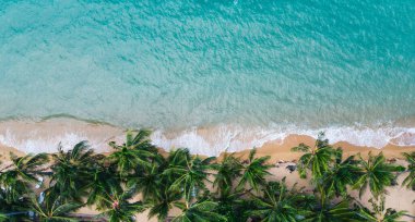 Turkuaz su dalgaları ve yeşil tropikal palmiyelerle dolu pitoresk kıyı şeridi manzarası. Hawaii 'nin cennet sahili kuş bakışı manzarası, yaz tatilleri için güzel bir turizm merkezi.
