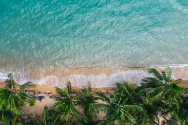 Turkuaz su dalgaları ve yeşil tropikal palmiyelerle dolu pitoresk kıyı şeridi manzarası. Hawaii 'nin cennet sahili kuş bakışı manzarası, yaz tatilleri için güzel bir turizm merkezi.