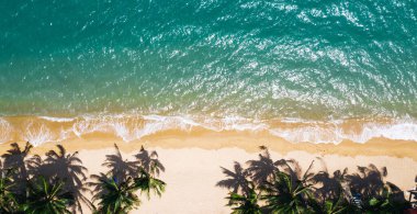 Turkuaz su dalgaları ve yeşil tropikal palmiyelerle dolu pitoresk kıyı şeridi manzarası. Hawaii 'nin cennet sahili kuş bakışı manzarası, yaz tatilleri için güzel bir turizm merkezi.