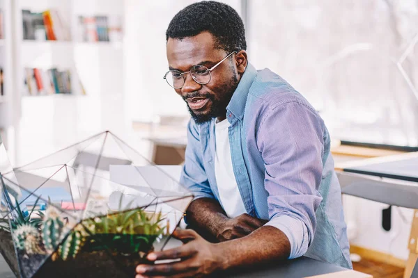 Érdeklődő Felnőtt Afro Amerikai Férfi Szemüvegben Bámulja Geometrikus Üveg Növény — Stock Fotó