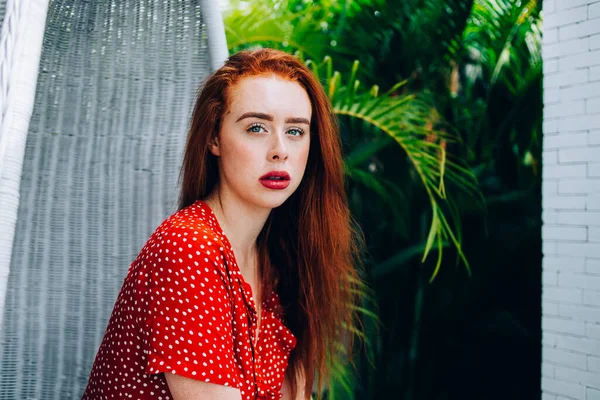 Bedachtzame Gefocuste Roodharige Vrouw Rode Polka Dot Jurk Zittend Rieten — Stockfoto