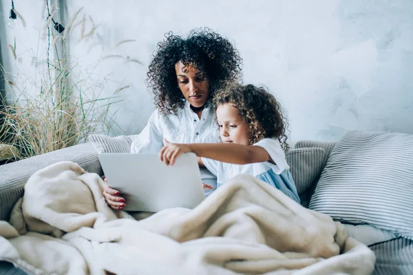Yoğunlaşmış genç etnik anne ve tatlı küçük çocuk sabahları koltukta dinlenirken dizüstü bilgisayarla eğitim oyunu deniyorlar.