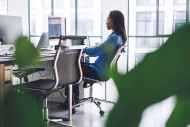 Bilgisayarda tek başına oturan ve hafif işyerinde proje geliştiren siyah sorumlu yöneticinin yeşil santrali üzerinden yan görünüm