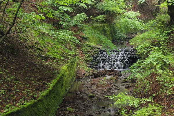 Japonya Nikko 'da güzel bir şelale