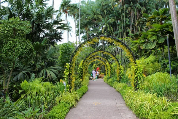 Singapur 'da güzel bir parke.