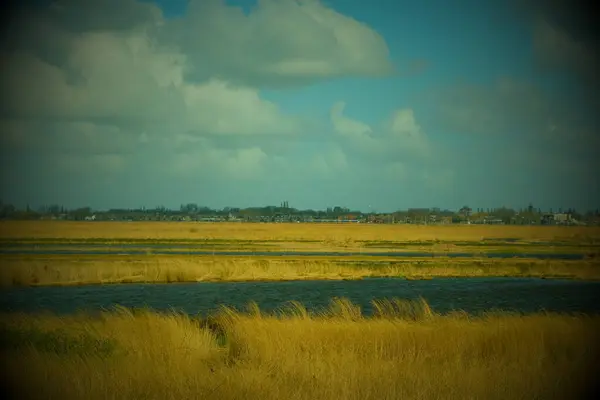 Doğa rezervi Guisveld üzerine bir görüş