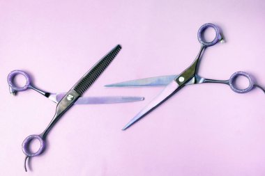 Renk arkaplanındaki makas