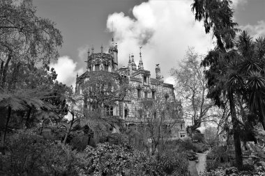 Ormanın ortasında gizemli bir kale. siyah ve beyaz resim