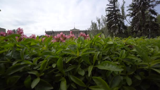 Construyendo sobre el fondo. Área principal, flores, primavera en la ciudad, paisaje — Vídeo de stock