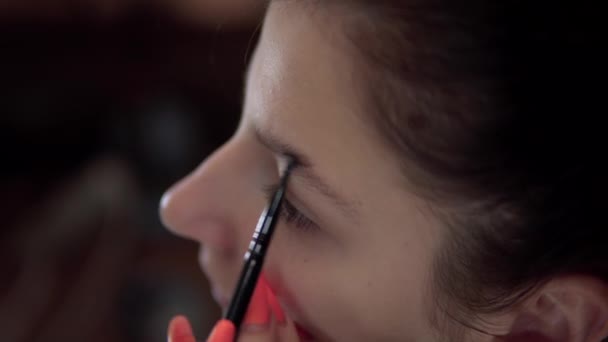 Mujer poner maquillaje ceja, cepillo para el rostro, belleza blogger — Vídeos de Stock