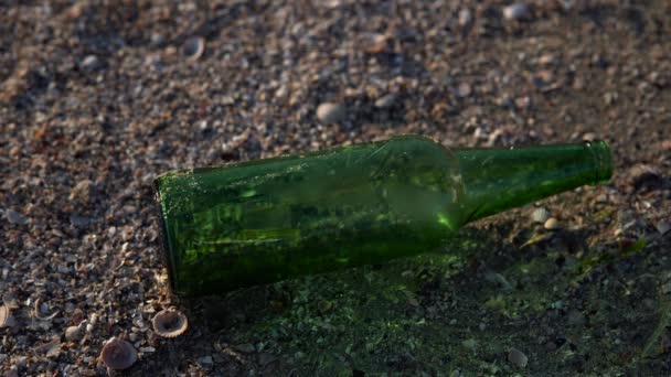 Volontär i handske höjer en flaska, städar smutsig strand, plastskräp, — Stockvideo
