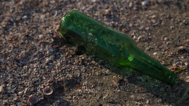 Wyrzucił butelkę na plażę, zanieczyszczenie środowiska, plastikową szklaną butelkę piwa — Wideo stockowe