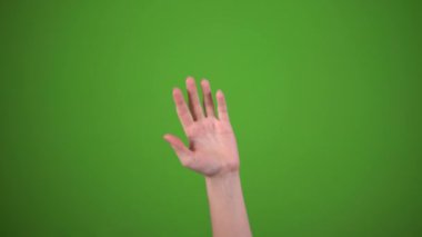 El sallayarak, yeşil ekrana selam vererek, selamlar