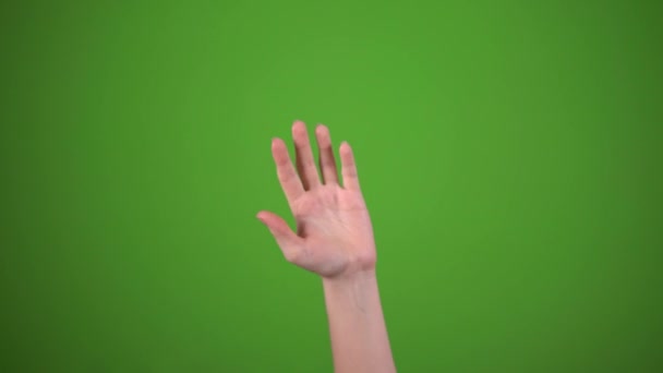 Hand waving from side to side, saying HI on green screen, greets — Stock Video