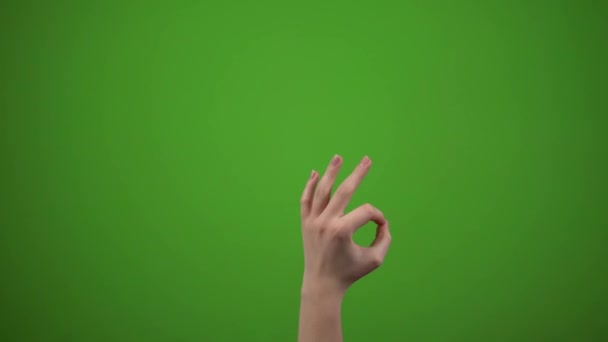 緑色の画面に隔離された、クロマキーを示す手 — ストック動画