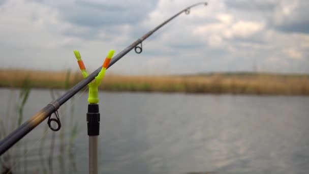 Caña de pescar en el fondo del río, cañas de cerca. Pescador, Pesca de río . — Vídeos de Stock