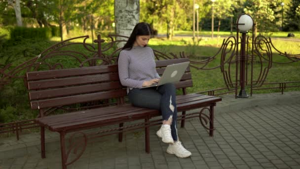 Jovem mulher ocupada trabalhando com laptop no parque da cidade, freelance, trabalho à distância — Vídeo de Stock