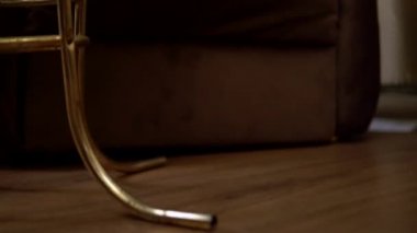 Koltukta kitap okuyan, evinde dinlenen, rahat bir oturma odası olan genç bir kadın.