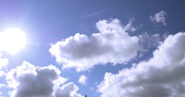 Коммерческий пассажирский авиалайнер во время вертикального перелета в солнечный день с белыми облаками — стоковое видео