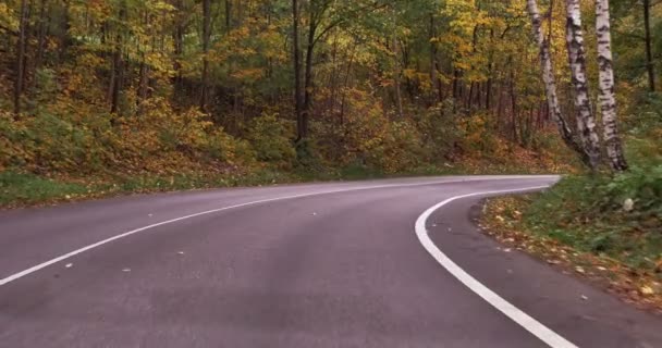 Vídeo de un viaje en coche por una carretera tortuosa — Vídeos de Stock