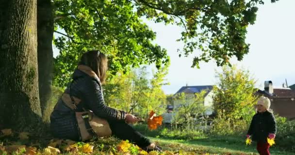 Spelar tillsammans i höst Park. Vacker familj i höst park njuter av naturen. — Stockvideo