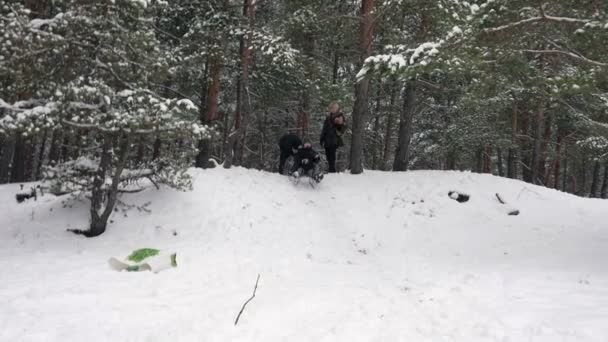 女孩坐雪橇滑下山坡 96 fps — 图库视频影像