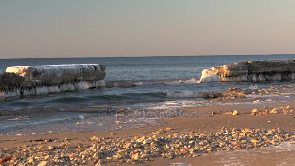 Mer Baltique froide en hiver avec plage glacée — Video