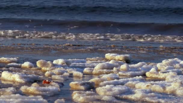 Zimne morze Bałtyckie zimą z lodowych beach — Wideo stockowe