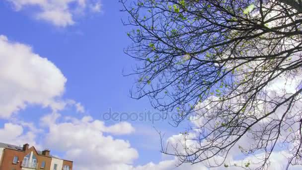 DUBLIN, IRLANDA - 15 MAGGIO 2017: Panorama nella Sunny day del Liffey Bridge a Dublino, Irlanda — Video Stock