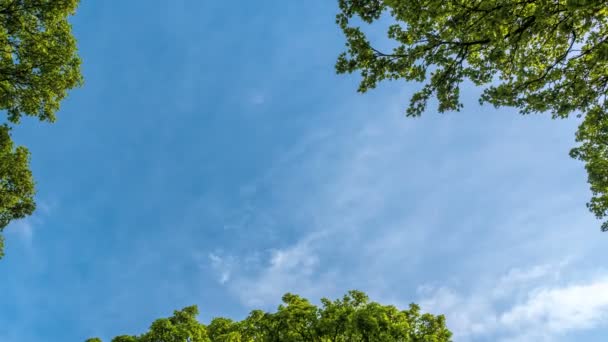 Gyönyörű cloudscape, felhő tömeges timelapse — Stock videók