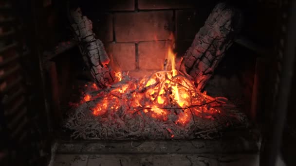 Niza Fuego Leña Contra Fondo Negro Chimenea — Vídeo de stock