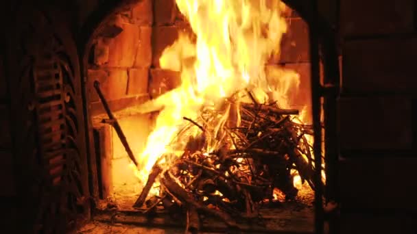 Beau Feu Bois Sur Fond Noir Cheminée — Video