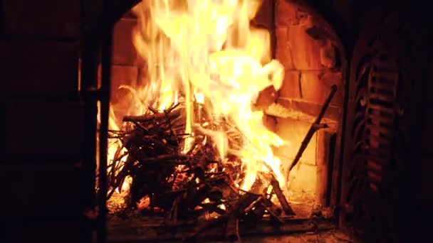 Beau Feu Bois Sur Fond Noir Cheminée — Video