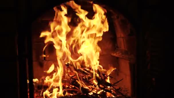 Beau Feu Bois Sur Fond Noir Cheminée — Video