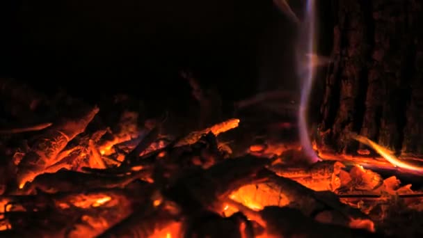 Pěkný Dřevěný Oheň Proti Černému Pozadí Krb — Stock video