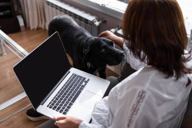 Açık gözlü, kahverengi saçlı, beyaz tişörtlü bir kadın evdeki kanepesinden laptopuyla rahatça çalışıyor. Sosyal izolasyona uyuyor..