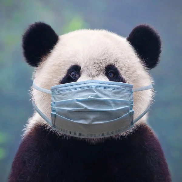 Giant Panda Bear Wearing Face Mask — Stock Photo, Image