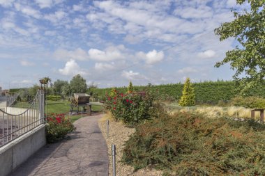 Morales de Toro / Zamora, İspanya - 28 Eylül 2014: Eski günlerde şarap üretimi, İspanya 'da eski moda şarap üretiminde kullanılan makineler, kırmızı şarap ve beyaz şarap yapımında kullanılan makineler