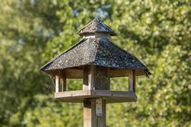 Yeşil arka planı olan kuşlar için bir beslenme tahtası.