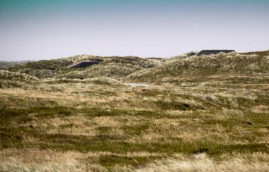 Güzel manzara ve kumullarla dolu Danimarka batı kıyısı.