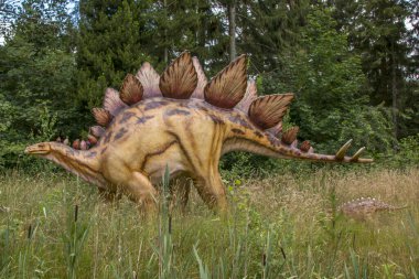 Giveskud, Danimarka - 16 Temmuz 2019: Stegosaurus, kendi sırtına çizilen büyük plakalar nedeniyle çok ayırt edici bir dinozor. Dinozorların doğası gereği yaşadıkları hallerine inanıyorlar..