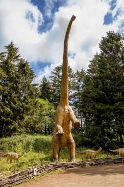 Giveskud, Danimarka - 16 Temmuz 2019: Diplodocus, iskeletleri tamamlanmış en büyük dinozordur. Dinozorlar doğaları gereği yaşarken oldukları boyutlara inanırlar..