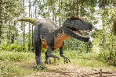 Giveskud, Danimarka - 16 Temmuz 2019: Allosaurus çağının uç yırtıcısıydı. Dinozorlar doğaları gereği yaşarken oldukları boyutlara inanırlar..