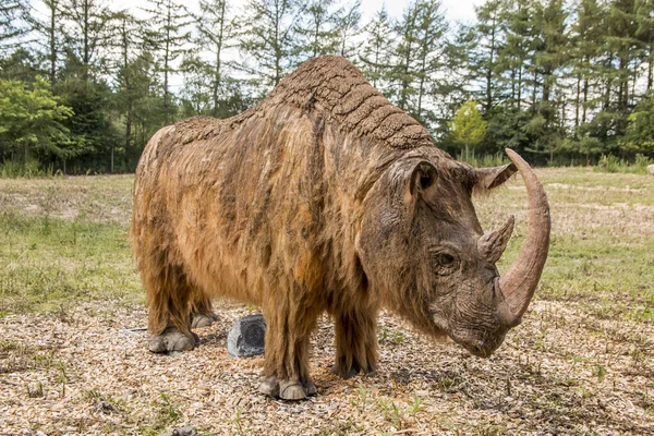 Giveskud Dinamarca Julio 2020 Rinoceronte Edad Piedra Animales Edad Piedra — Foto de Stock