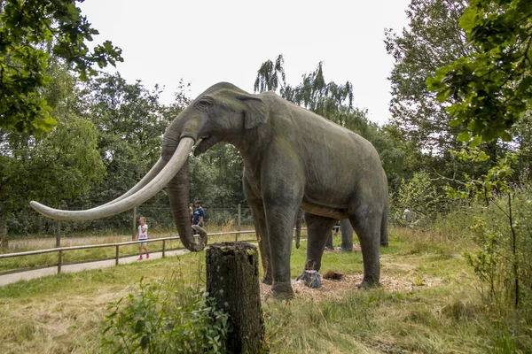 Giveskud Dinamarca Julho 2020 Elefante Idade Pedra Natureza Acredita Tamanhos — Fotografia de Stock