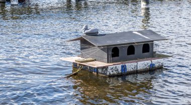 Ördekler için bir ev, ördeklerin yuva yapıp yumurtalarını bırakabileceği bir ev. Çatıda yem olan yüzen bir ev.