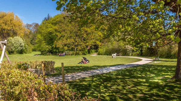 Randers, Danimarka - 09 Maj 2020: The Doctor Park in Randers. İnsanlar doğada oturup kahve içiyorlar. Parkta piknik. Orman arka planda. yeşil renkler ve mavi gökyüzü.