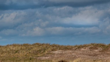 Yüksek otlar ve sahile inen bir patika. Arka planda küçük bir orman. Gerrild Sahili.