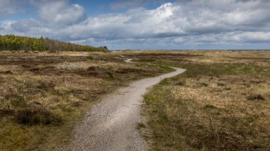 Yüksek otlar ve sahile inen bir patika. Arka planda küçük bir orman. Gerrild Sahili.